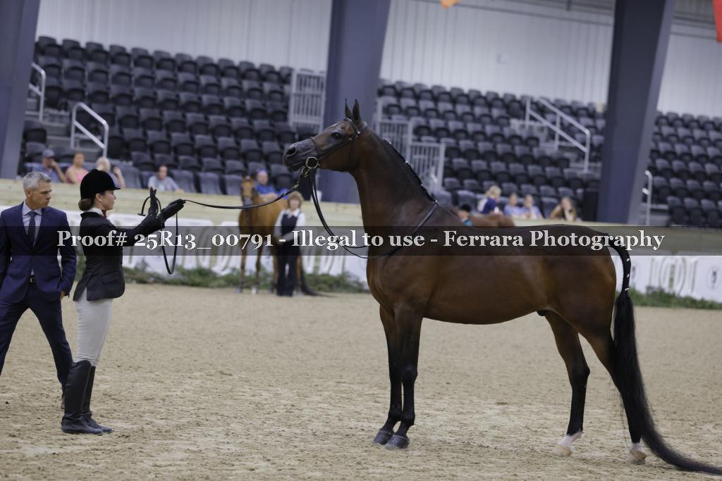 Proof 25R13_00791
