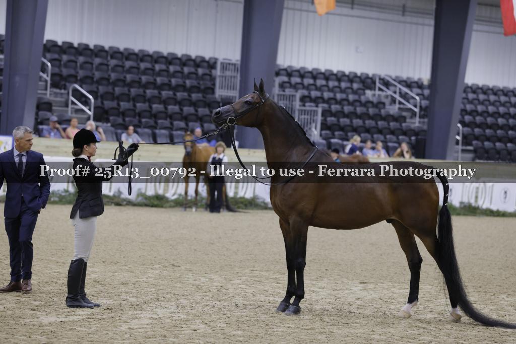 Proof 25R13_00792
