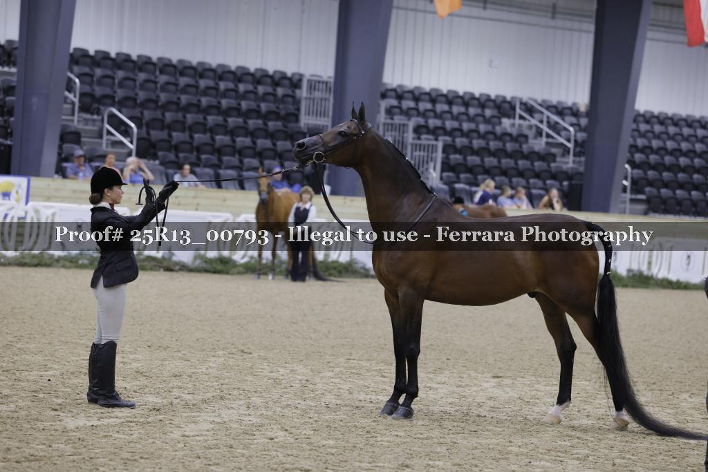 Proof 25R13_00793