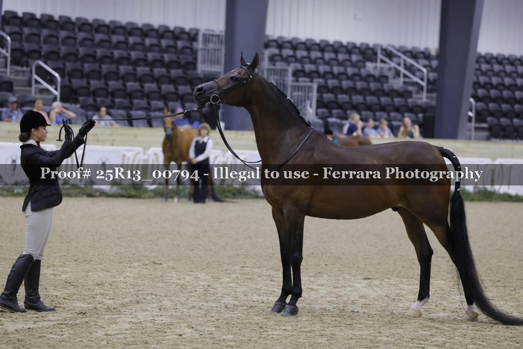 Proof 25R13_00794