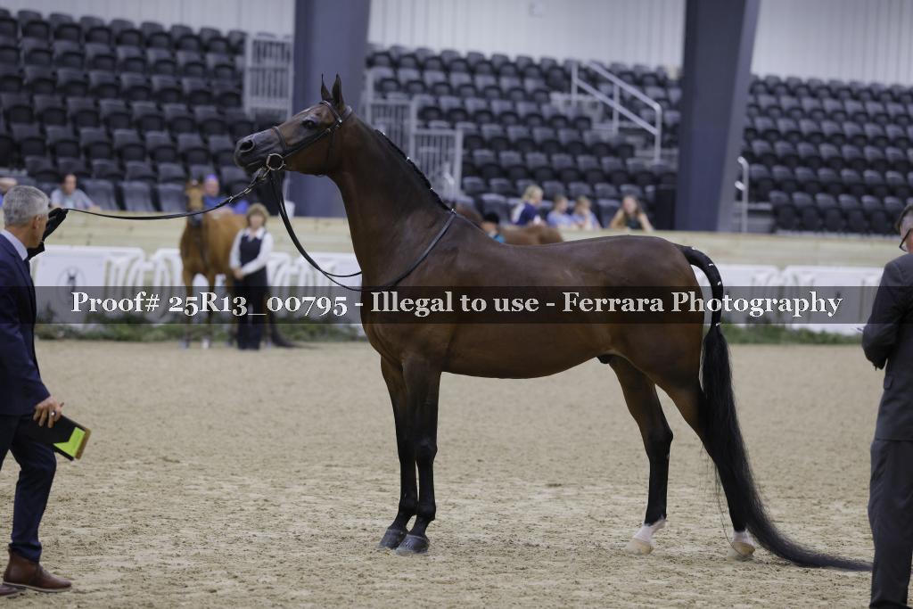 Proof 25R13_00795