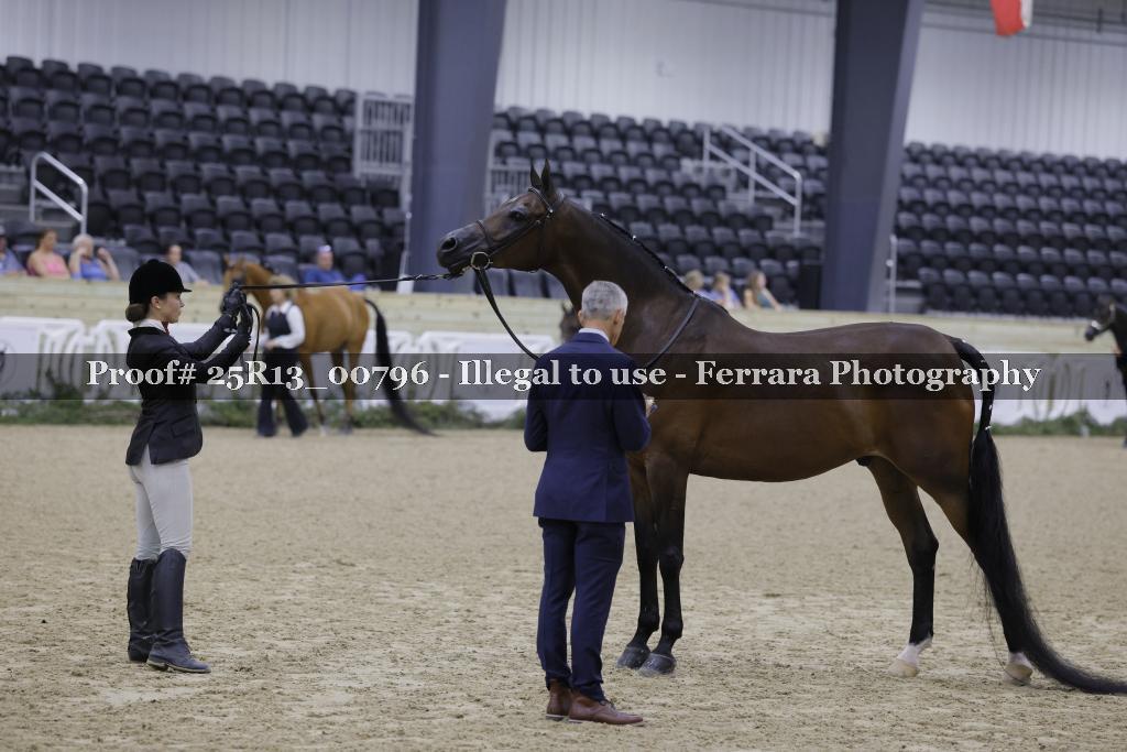 Proof 25R13_00796