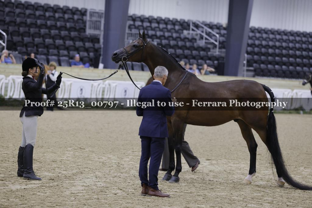 Proof 25R13_00797