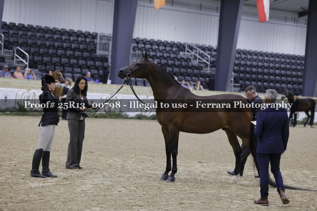 Proof 25R13_00798