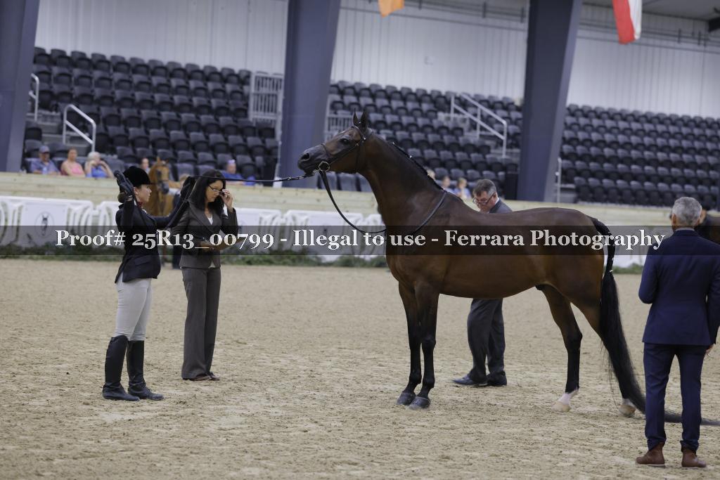 Proof 25R13_00799