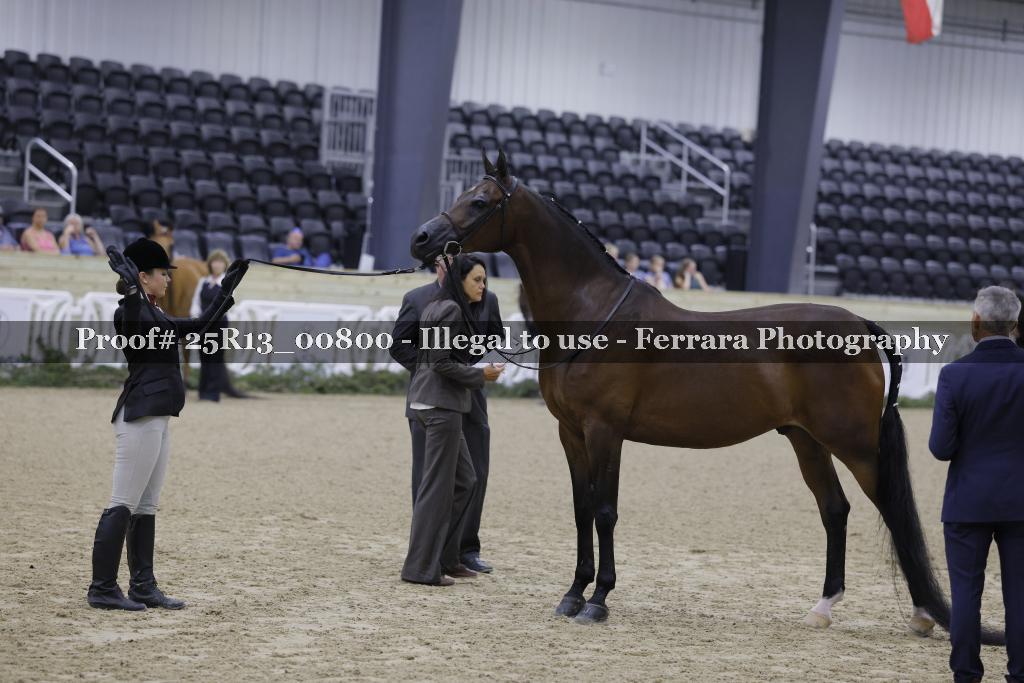 Proof 25R13_00800