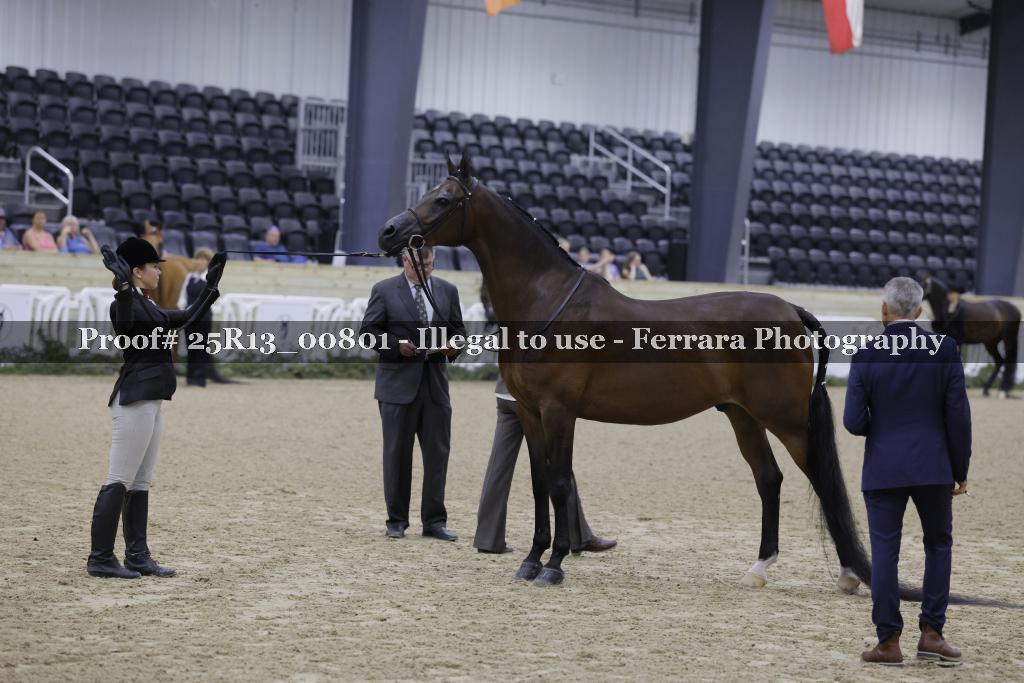 Proof 25R13_00801