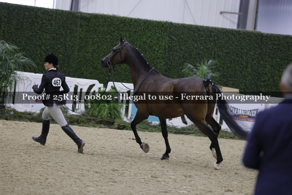 Proof 25R13_00802