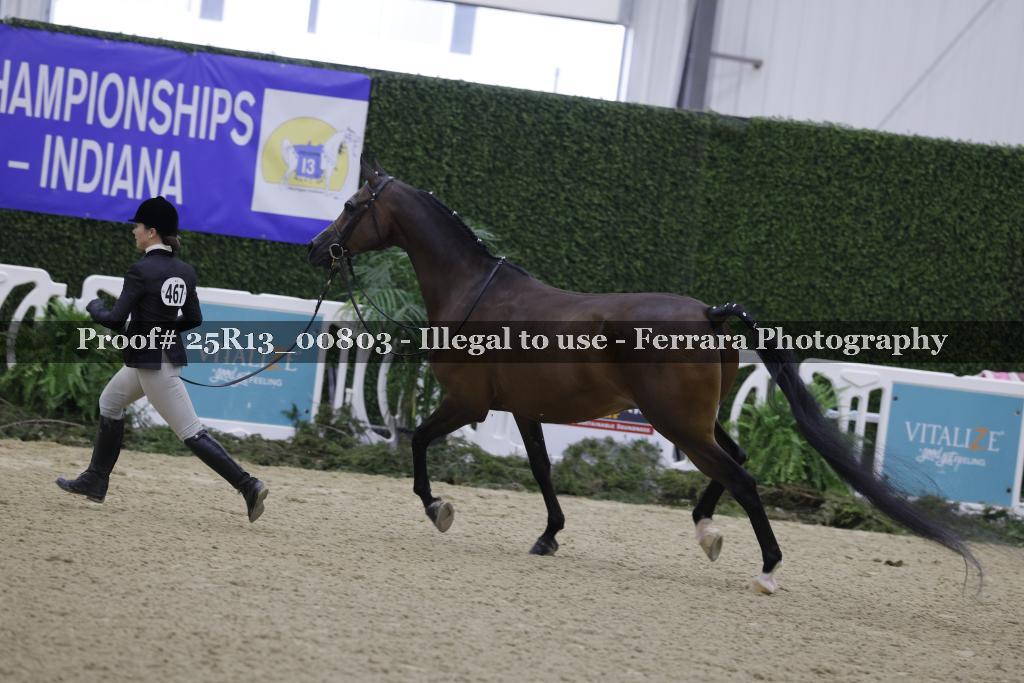 Proof 25R13_00803