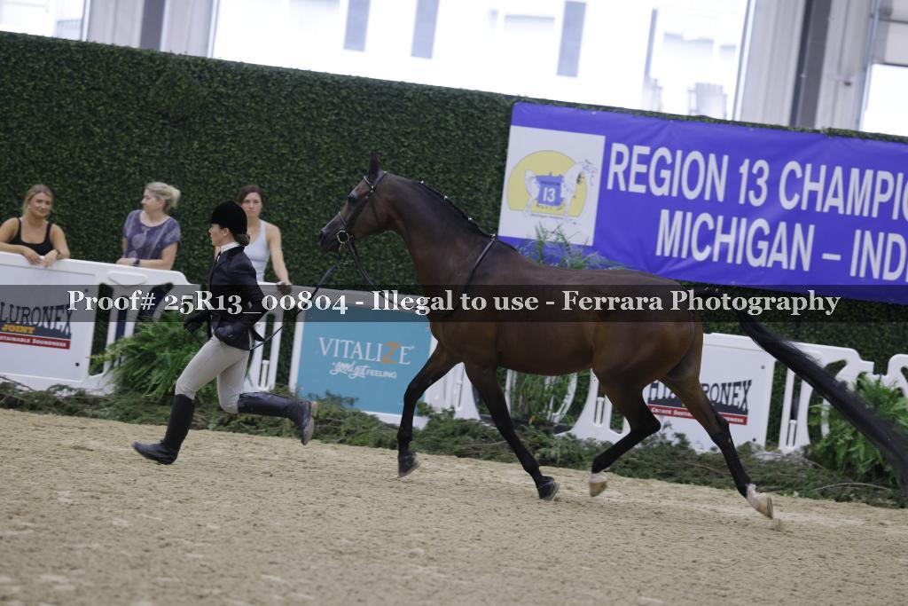 Proof 25R13_00804