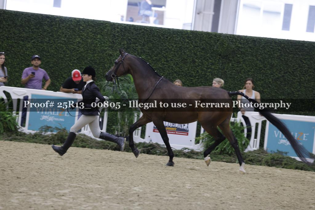Proof 25R13_00805