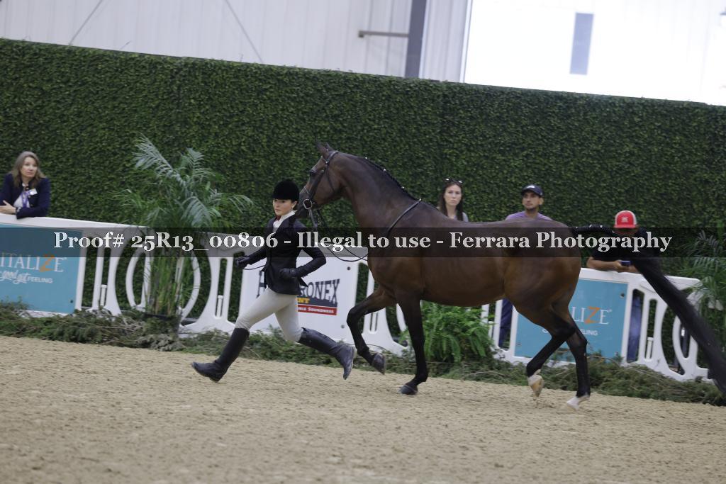 Proof 25R13_00806