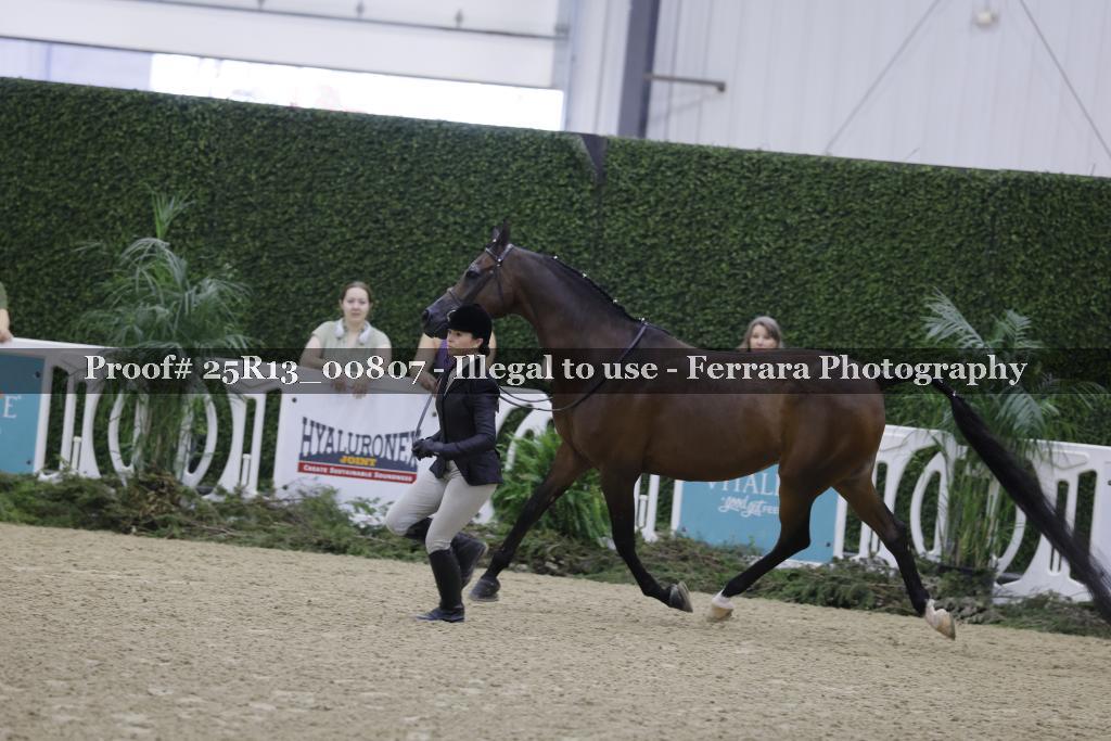 Proof 25R13_00807