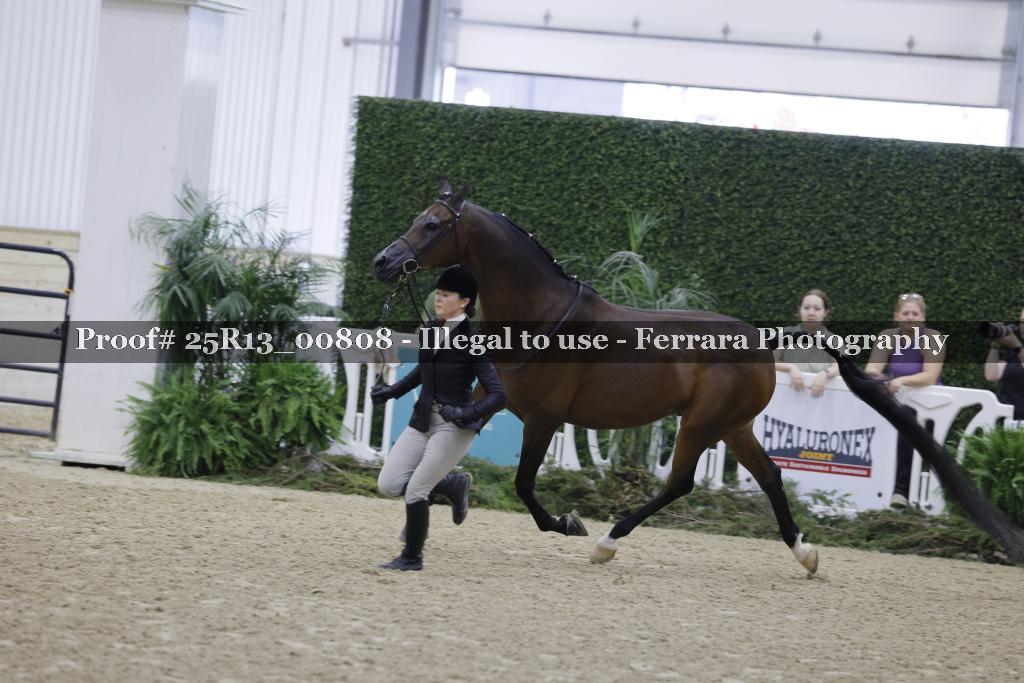 Proof 25R13_00808