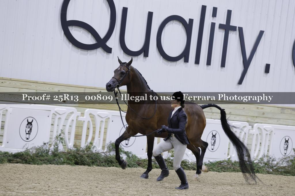 Proof 25R13_00809