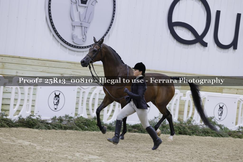 Proof 25R13_00810