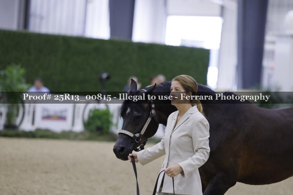 Proof 25R13_00815