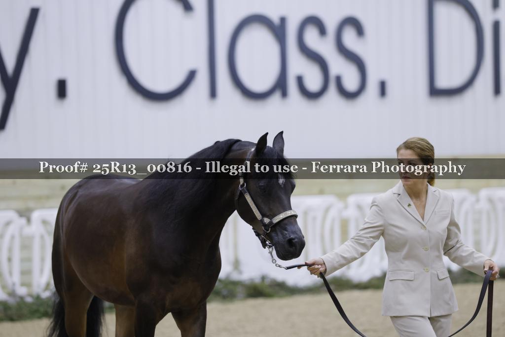 Proof 25R13_00816