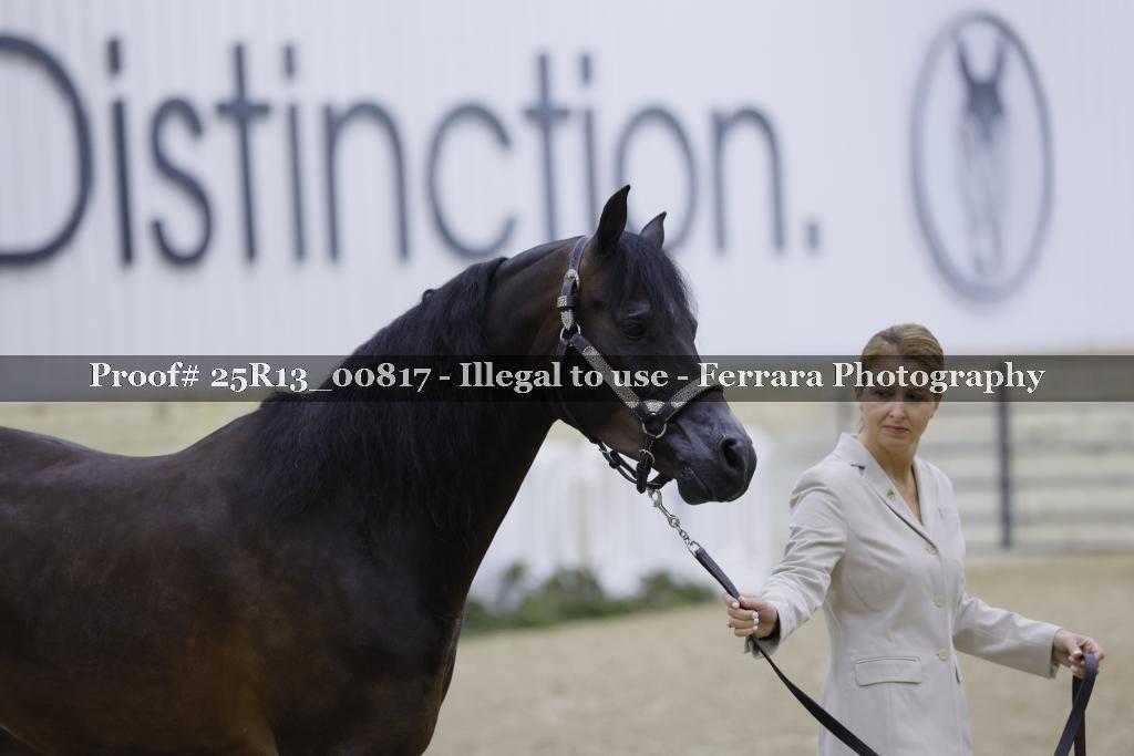 Proof 25R13_00817