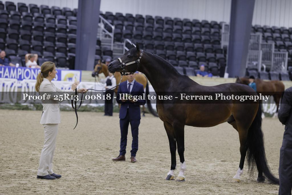 Proof 25R13_00818