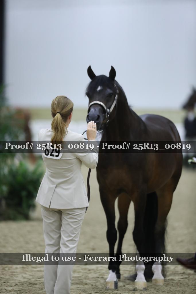 Proof 25R13_00819