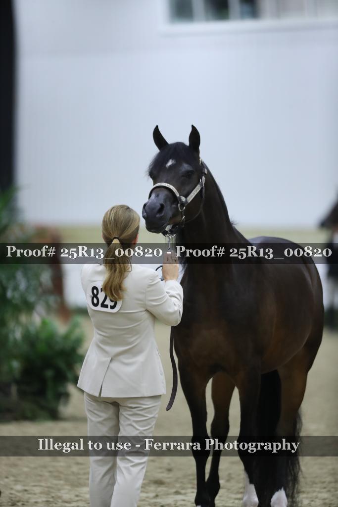 Proof 25R13_00820