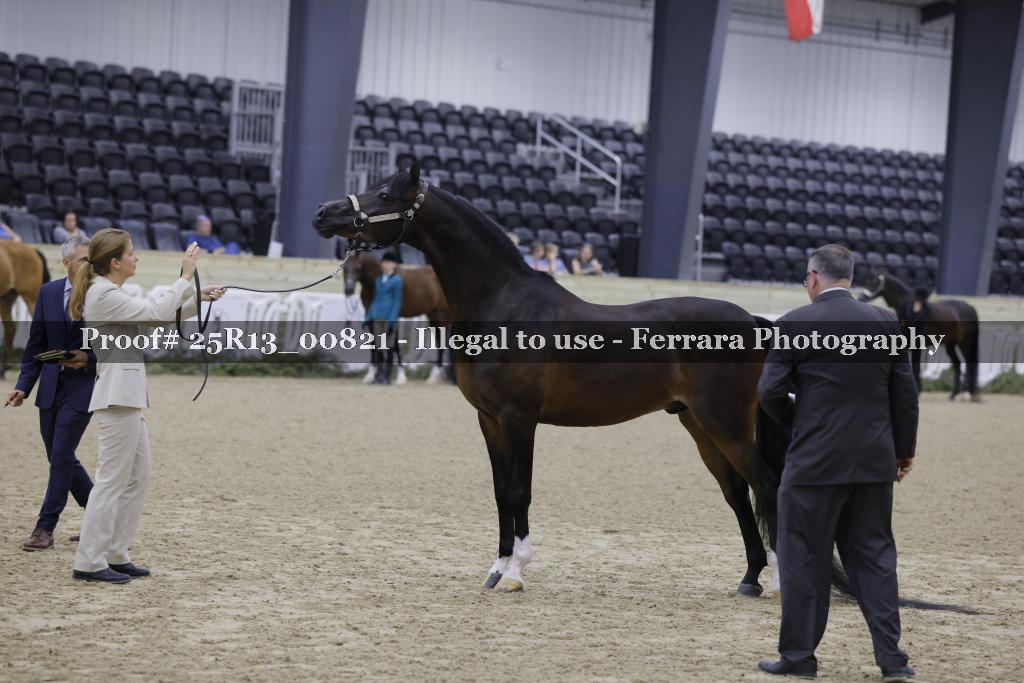 Proof 25R13_00821