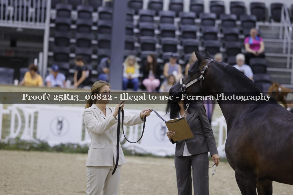 Proof 25R13_00822