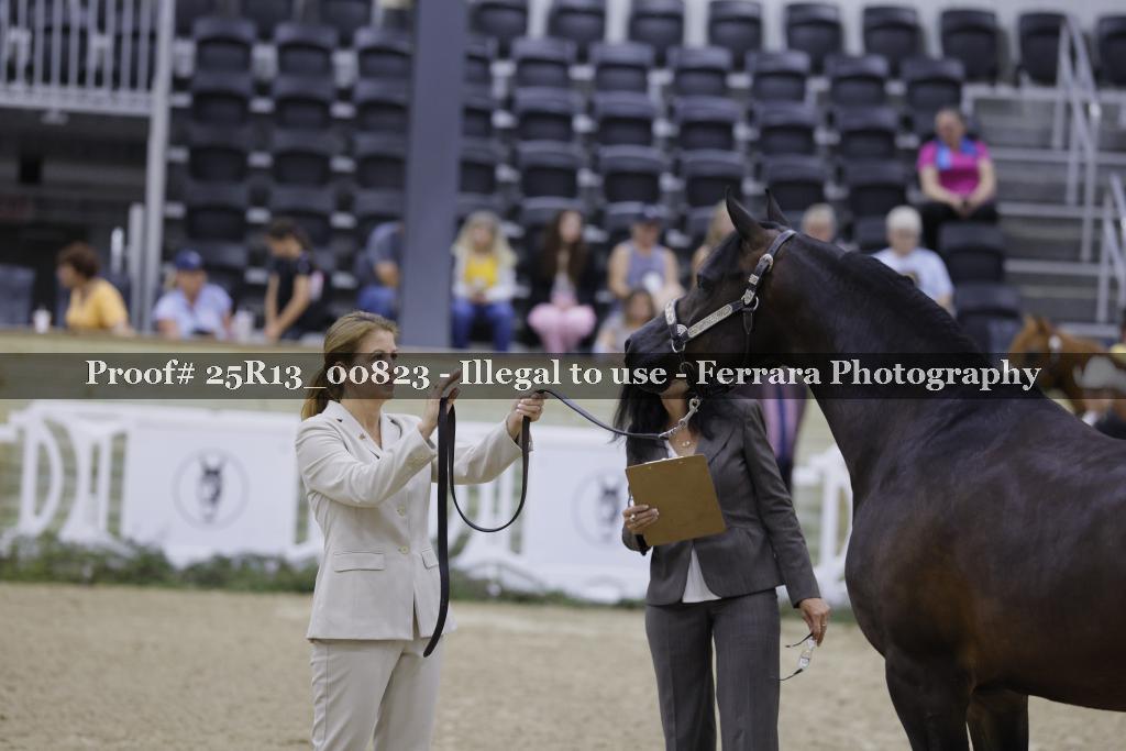 Proof 25R13_00823