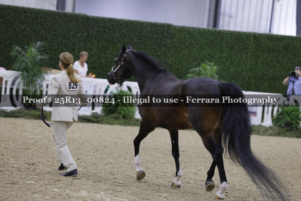 Proof 25R13_00824