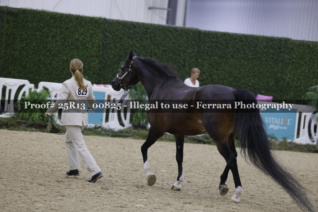 Proof 25R13_00825