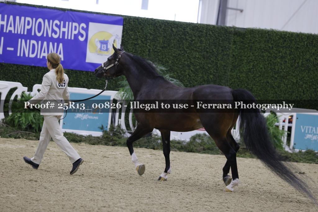 Proof 25R13_00826