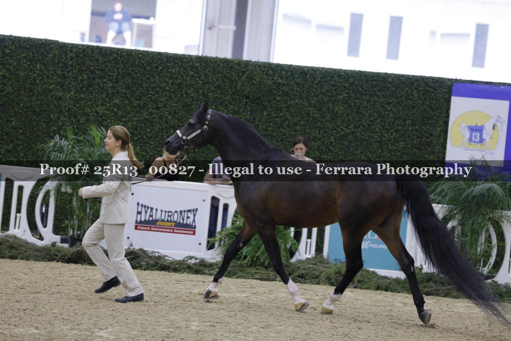 Proof 25R13_00827