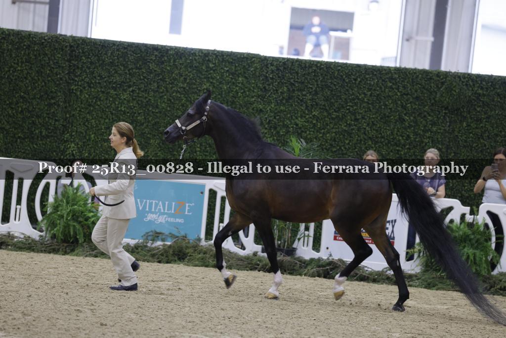 Proof 25R13_00828