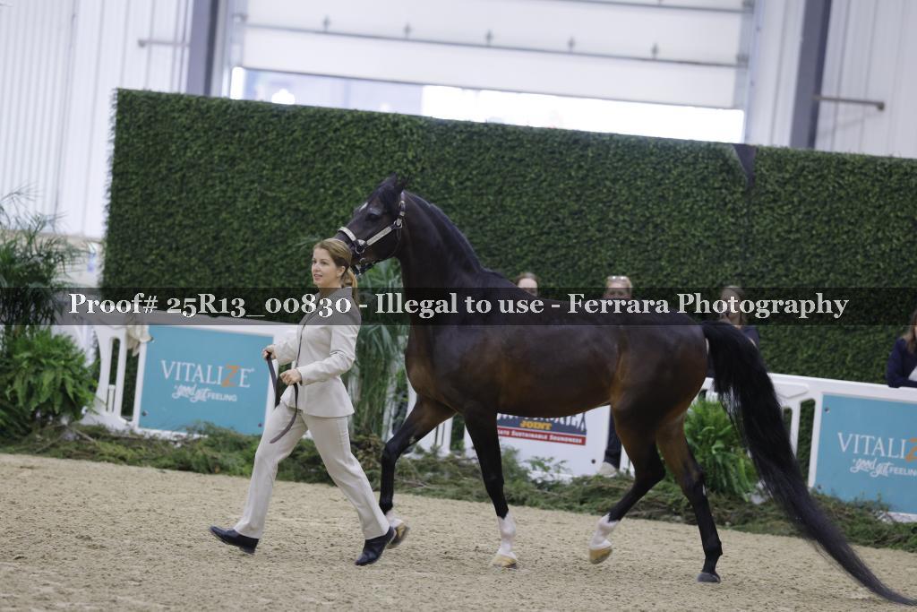 Proof 25R13_00830