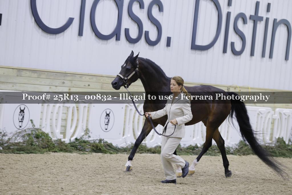 Proof 25R13_00832