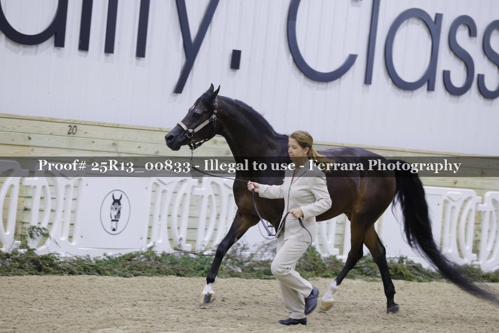 Proof 25R13_00833