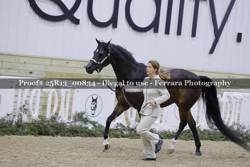 Proof 25R13_00834