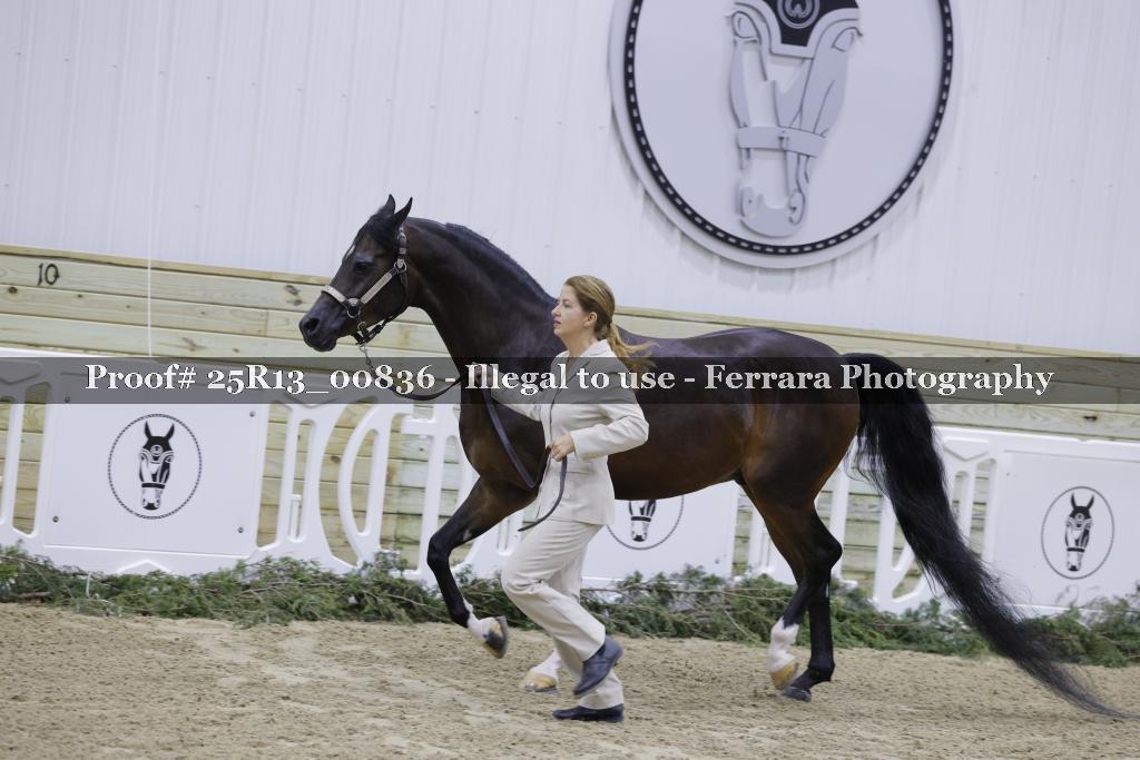 Proof 25R13_00836