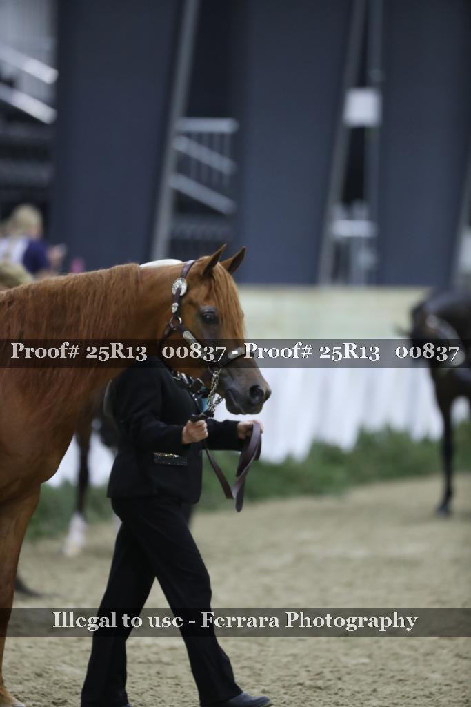 Proof 25R13_00837