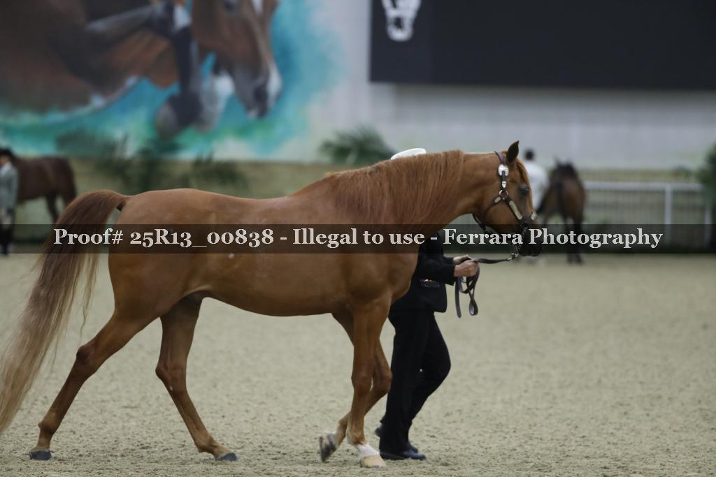 Proof 25R13_00838