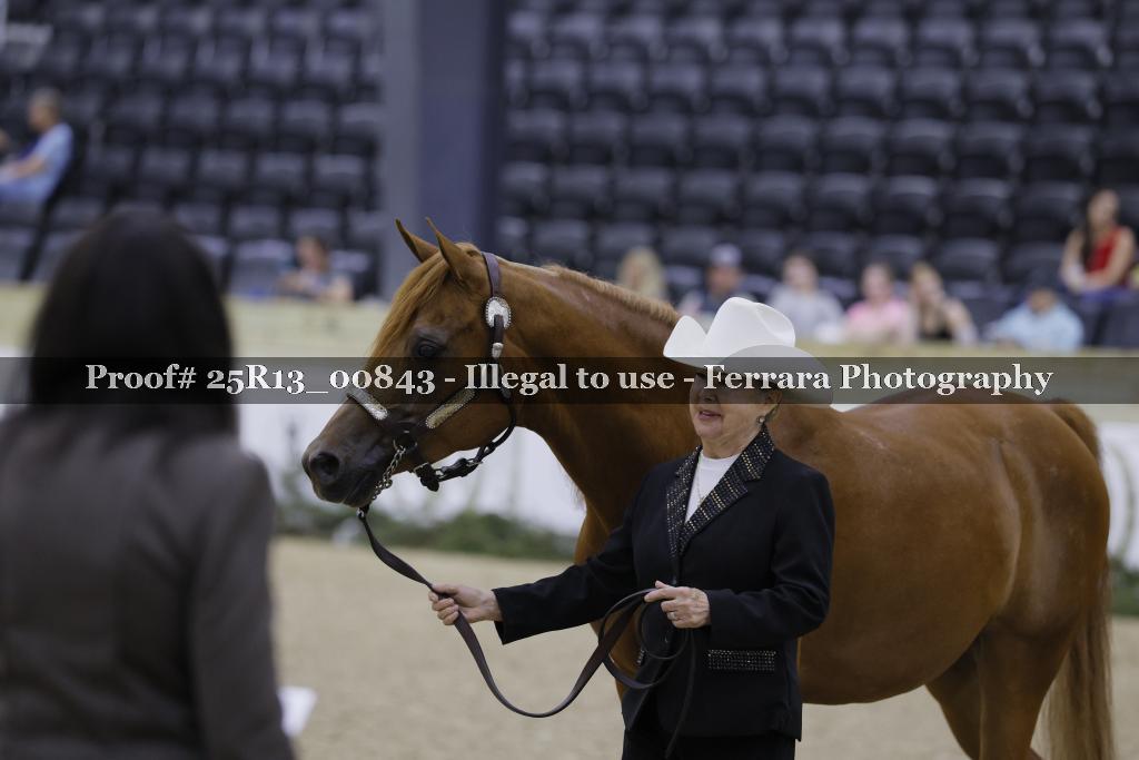 Proof 25R13_00843