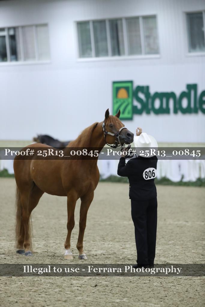Proof 25R13_00845