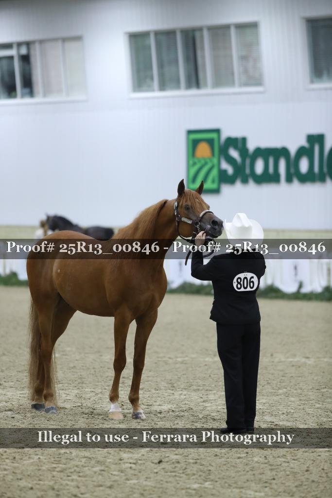 Proof 25R13_00846
