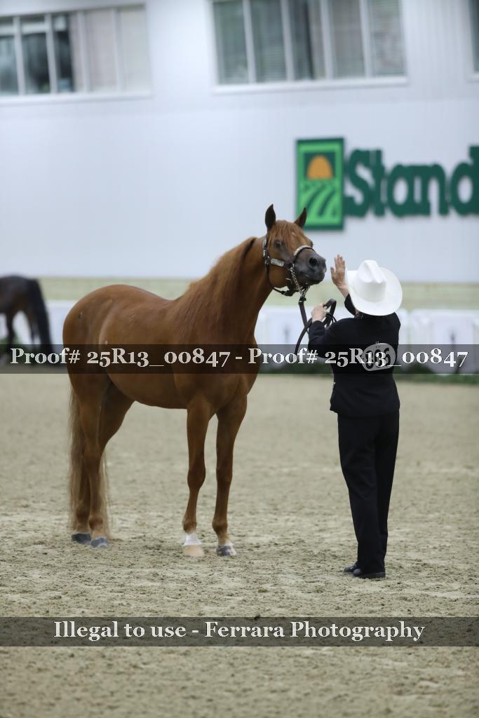 Proof 25R13_00847