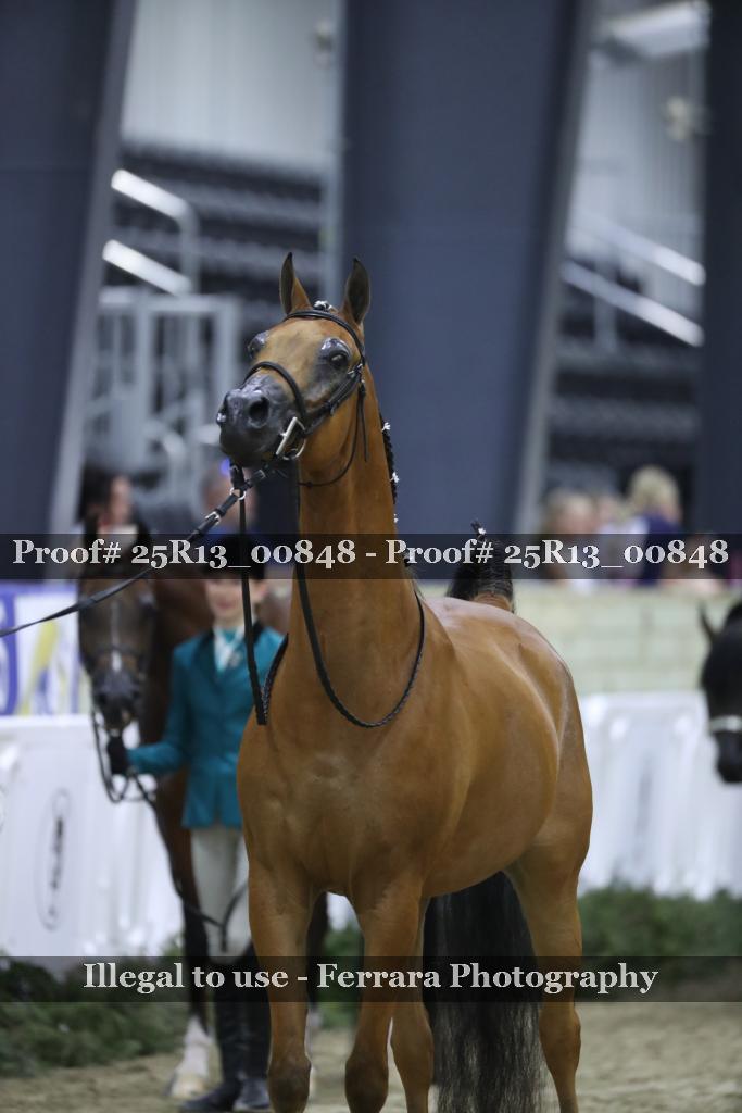 Proof 25R13_00848