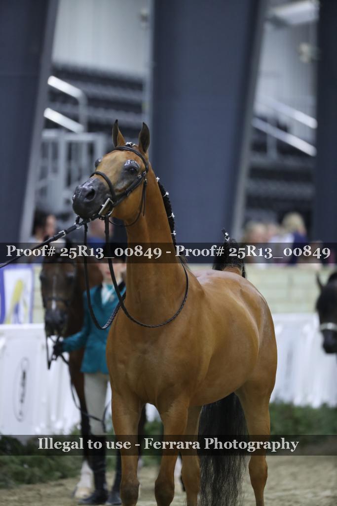 Proof 25R13_00849