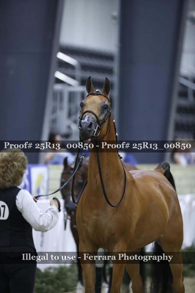 Proof 25R13_00850