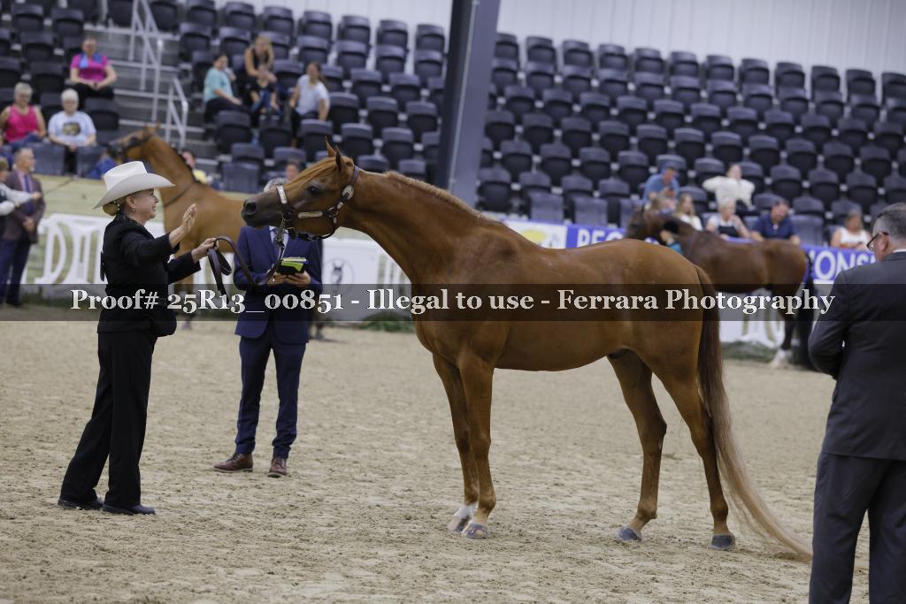Proof 25R13_00851