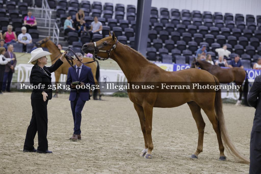 Proof 25R13_00852